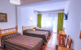 Viajes Hostal Sol y Miel + Entradas Pack Selwo (SelwoAventura