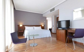 Viajes Tryp Madrid Cibeles Hotel + Bus desde Madrid