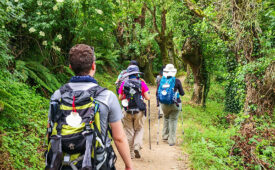 Camino de Santiago Portugués con 7 noches