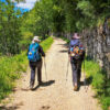 Camino de Santiago Francés con 6 noches