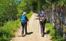 Camino de Santiago Francés con 6 noches