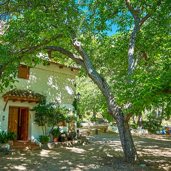 Casa rural en Jaén: 2 noches con desayuno en el Cortijo de Ramón para 4 personas